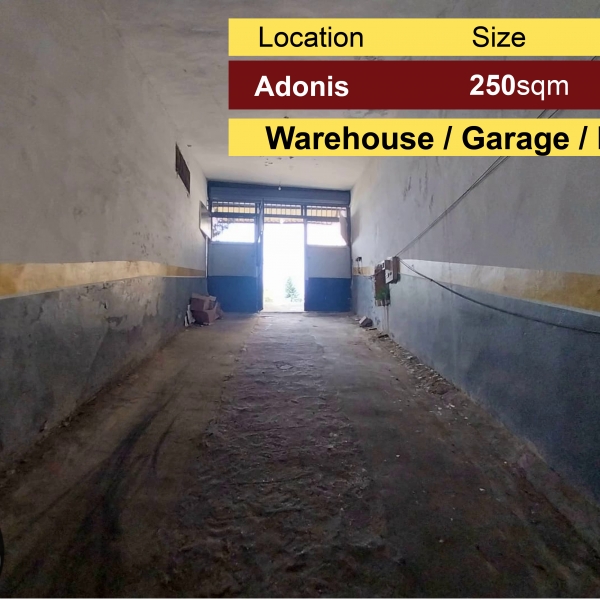 Adonis 250m2 | Warehouse / Depot / Garage | Well Maintained | Rent |